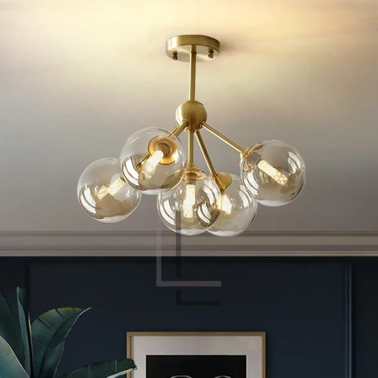 Rhizome - Luminate Living